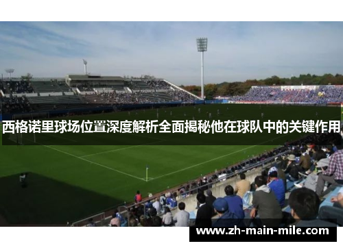 西格诺里球场位置深度解析全面揭秘他在球队中的关键作用