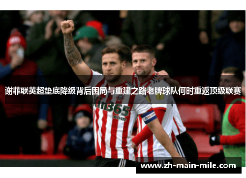 谢菲联英超垫底降级背后困局与重建之路老牌球队何时重返顶级联赛